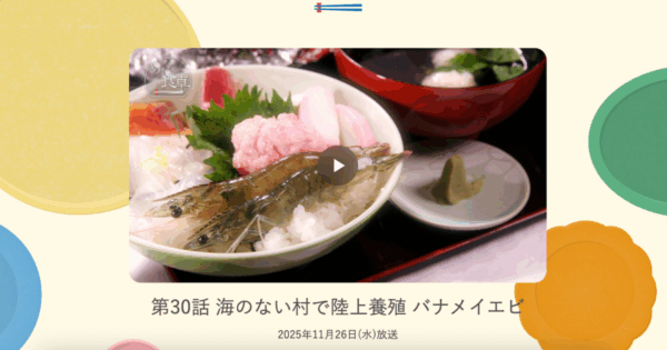 めぐる食卓｜葛尾村バナメイエビ