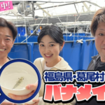 NHK「あさイチ」にてHANERU葛尾が生放送で紹介されました